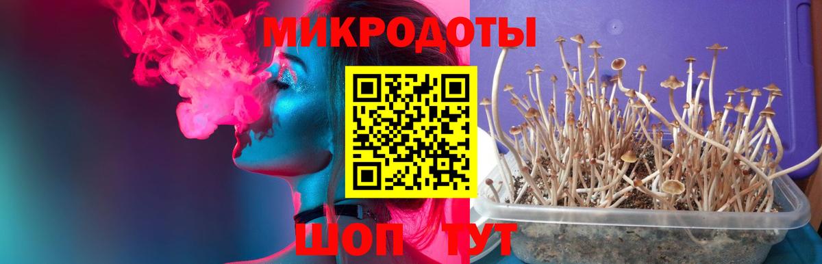ГАШ  Конопля  НБОМе  Меф МЯУ МЯУ   COCAIN  ГАШ  Кинешма  Вход с VPN 