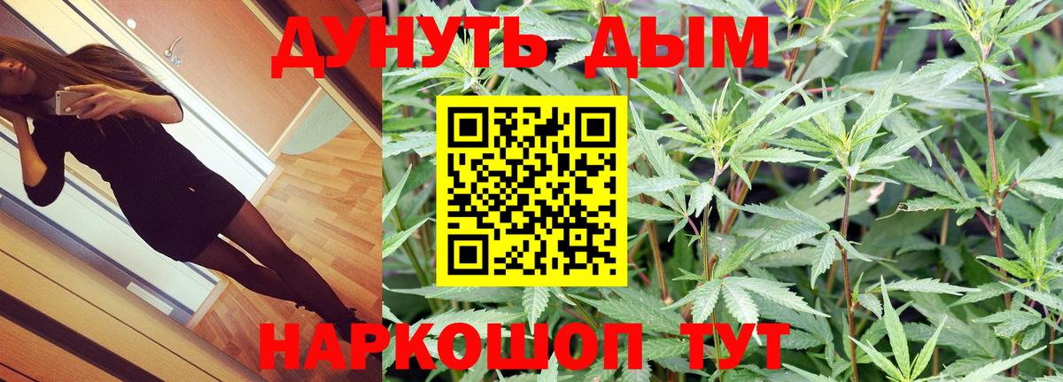 Кинешма  Конопля Bruce Banner  Бошки марихуана SATIVA & INDICA  Конопля семена  Вход с VPN 